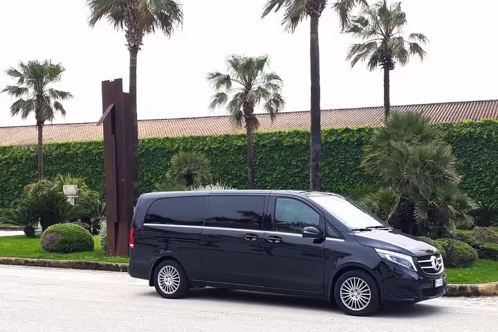 Black premium minivan parked by palm trees, used for private Palermo airport to Milazzo Port transfers in Sicily