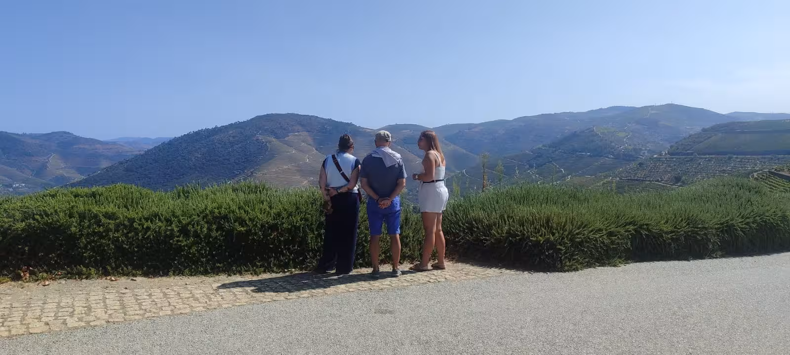 Travelers enjoy a panoramic viewpoint over terraced Douro Valley vineyards and mountains on a scenic tour