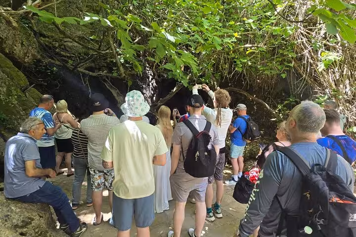 Tour group exploring a shaded Akamas nature trail stop on the Blue Lagoon bus and boat tour from Paphos