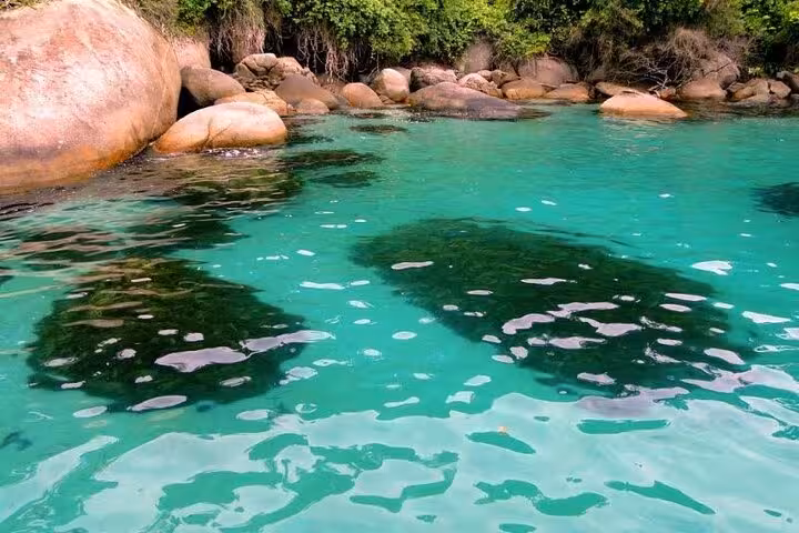 Explore Paraty's crystal-clear waters and lush coastal landscapes on an exclusive boat tour adventure.