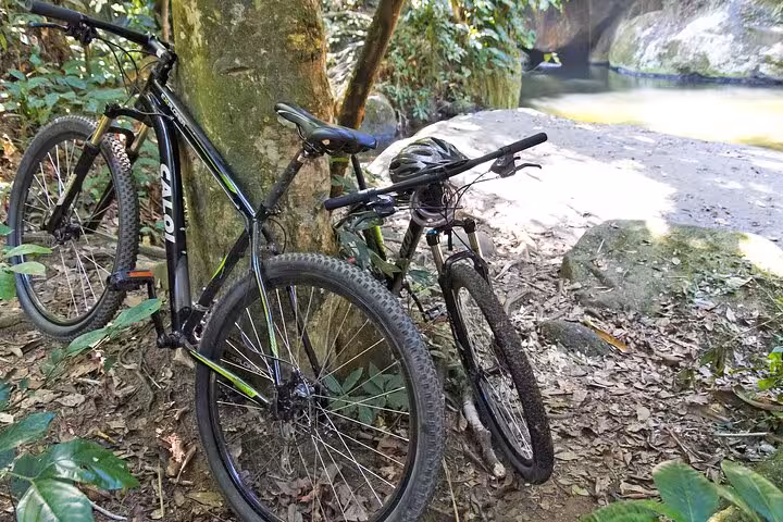 Bicycles resting against a tree by a serene stream in Paraty's lush forest, perfect for a relaxing guided biking tour.