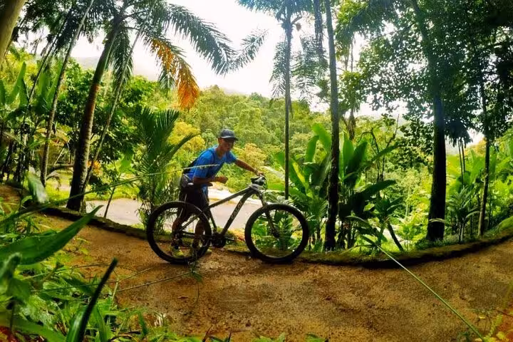 Cyclist navigating a scenic jungle path in Paraty, surrounded by vibrant green foliage, perfect for nature enthusiasts.