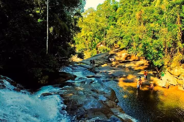 Visitors explore a scenic waterfall and natural pool in the vibrant rainforest of Paraty on a jeep tour.