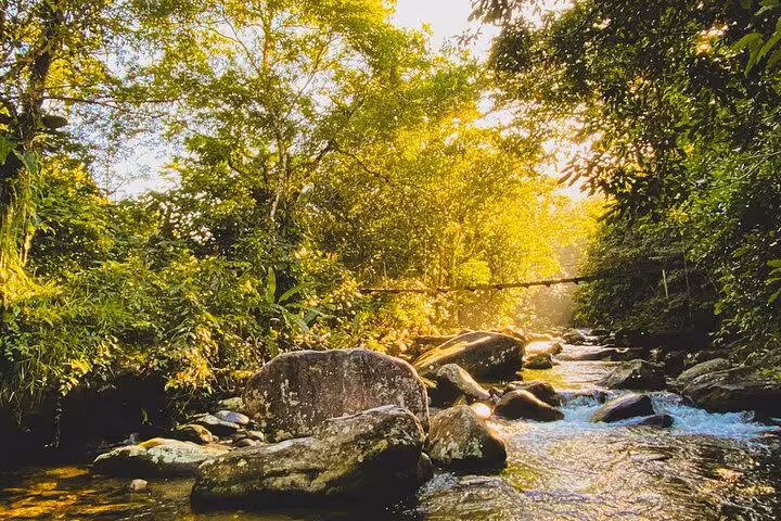 Sunlit river scene with rocks and lush vegetation on Paraty Melancia Waterfall hiking tour in Brazil's rainforest.