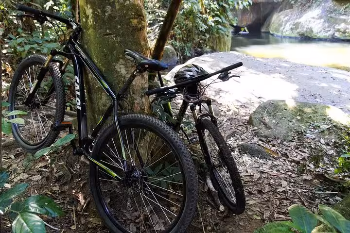 Parked rental bikes rest against a tree by a tranquil river in Paraty's lush forest landscape.