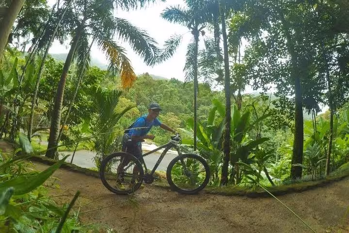 Cyclist exploring lush tropical forest trails with Paraty Tours bike rental service for outdoor adventures.