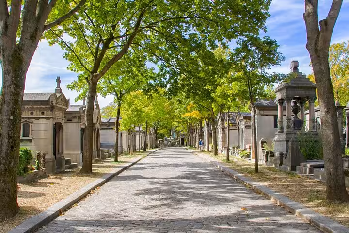 Tree-lined avenue with ornate tombs in Paris cemetery, ideal for a private guided graves of the famous tour