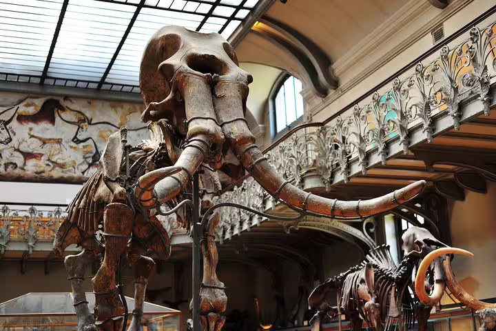 Explore Paris with a family-friendly tour featuring museum highlights like this impressive mammoth skeleton exhibit.