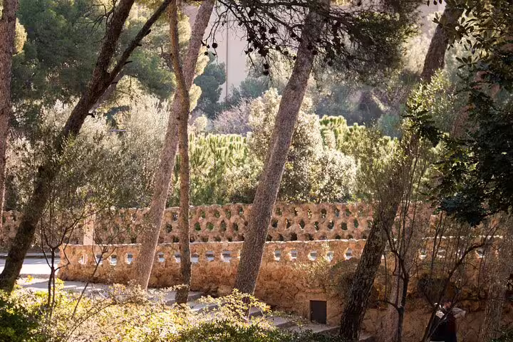 Discover the serene wooded areas and unique architecture of Park Güell on a skip-the-line guided tour.