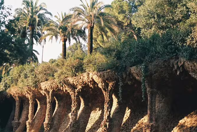 Explore the iconic stone viaducts and lush palm trees at Park Guell, showcasing Gaudi's unique architectural style.