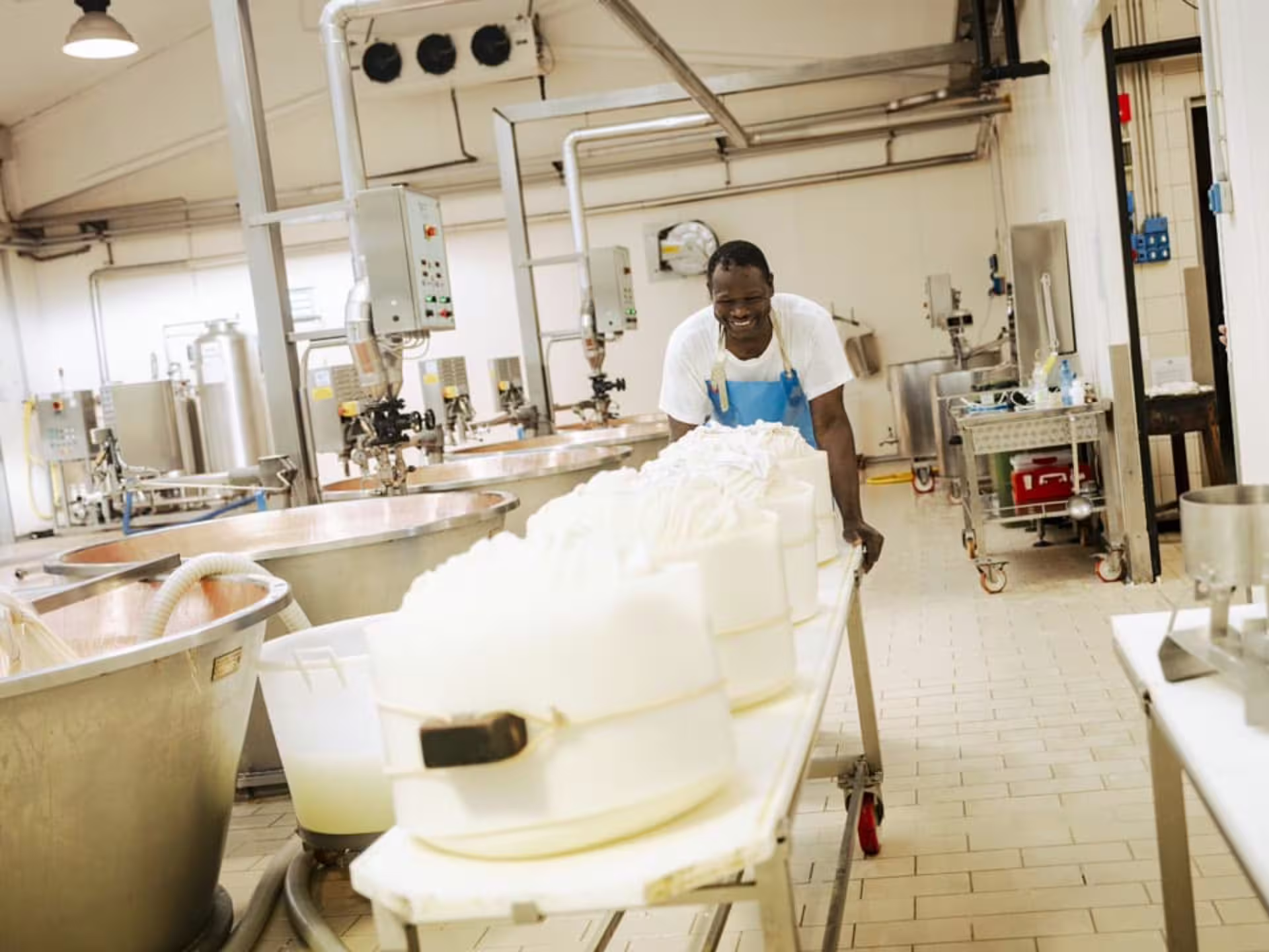Worker in a Parmesan cheese factory near Parma handling freshly made cheese wheels on a production line.
