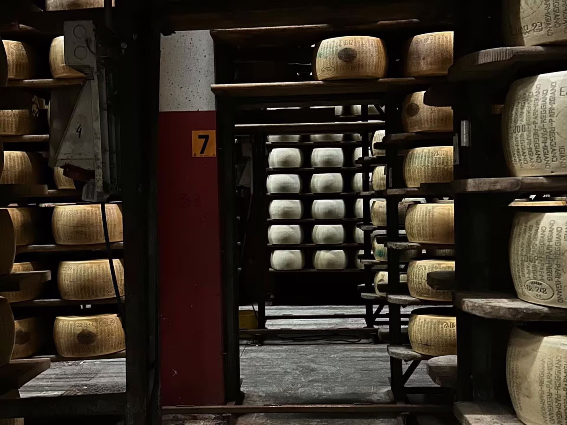 Aging room on Parmesan Cheese Tour near Modena with Parmigiano Reggiano wheels maturing on wooden racks