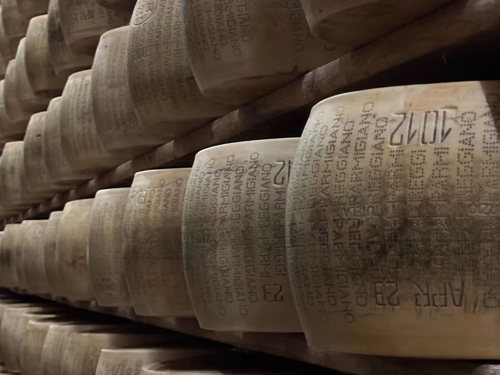 Aging Parmigiano Reggiano wheels stacked in ripening room on Parmesan cheese tour and tasting near Modena