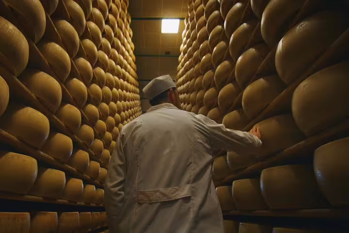 Cheese expert inspects aging Parmigiano-Reggiano wheels during small group factory tour in Parma.