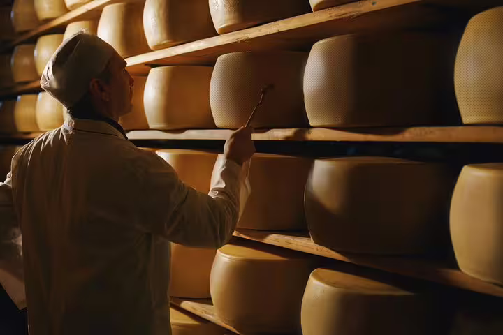 Cheesemaker inspecting Parmigiano-Reggiano wheels at a traditional factory near Parma.