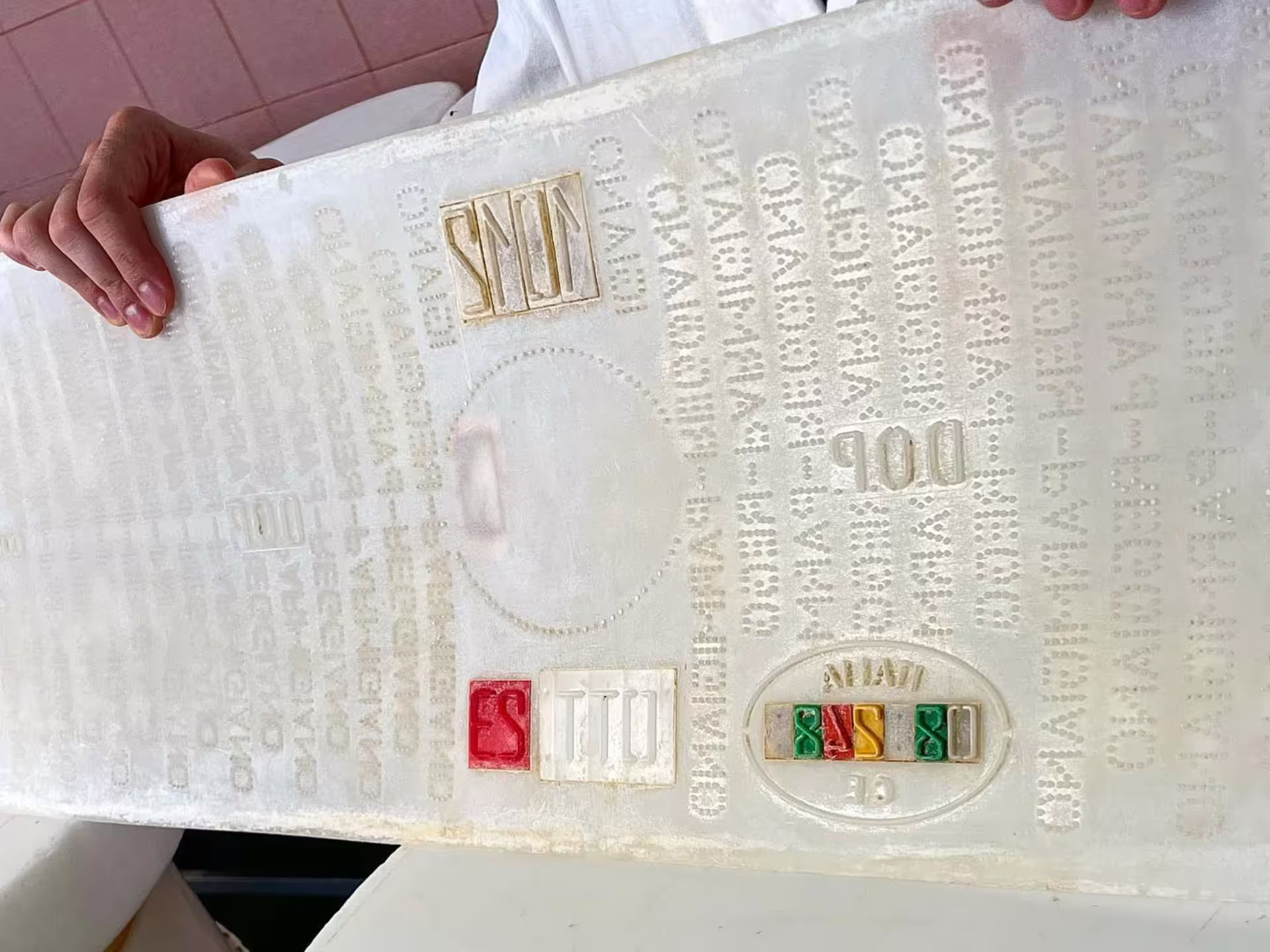 Close-up of Parmigiano Reggiano PDO casein plate stamp shown on Parmesan cheese tour near Modena