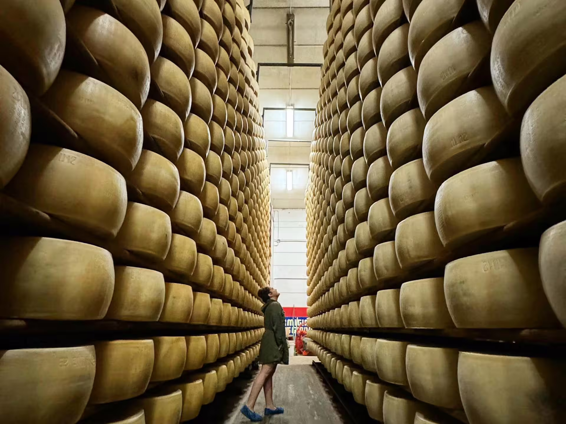Rows of aging Parmigiano Reggiano wheels in a Modena dairy warehouse during Parmesan cheese tour and tasting