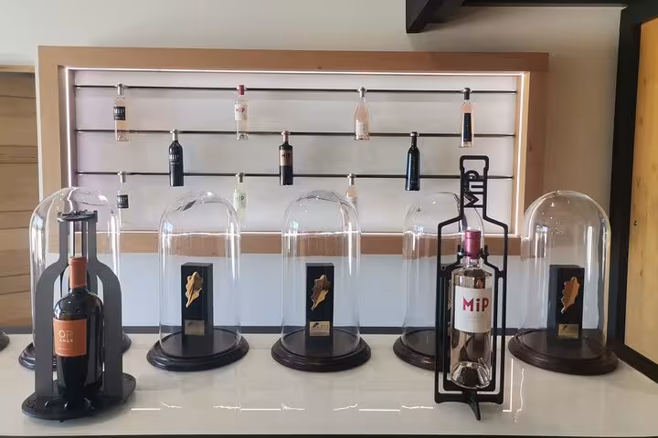 Wine bottles under glass domes in a tasting room, part of Pce’s Vineyard sommelier course with food pairing