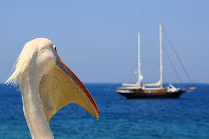 Pelican by the Aegean Sea with sailing yacht, 2-day Athens to Santorini and Mykonos island tour