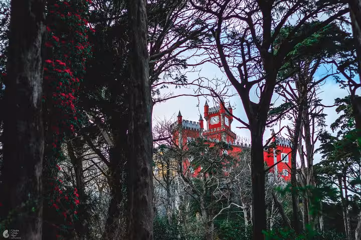 Pena Palace Sintra seen through forest trees, scenic viewpoint on self-drive tour covering all monuments