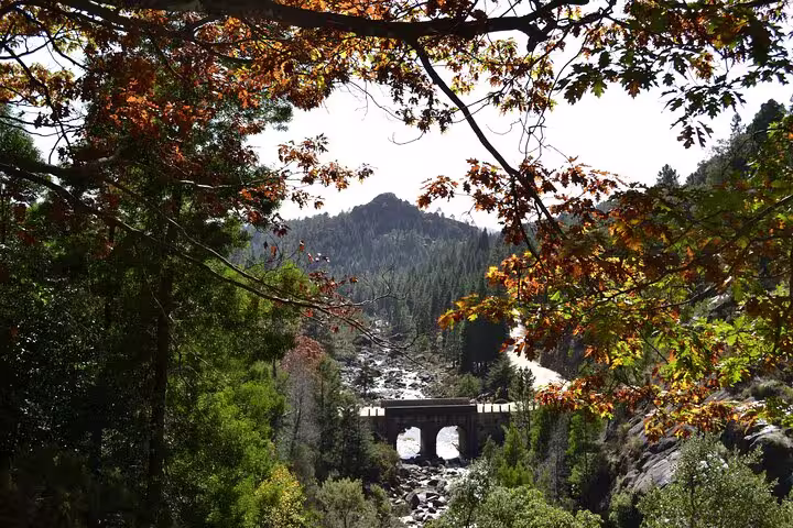 Scenic view of a picturesque bridge framed by autumn foliage in Peneda Geres National Park near Porto.