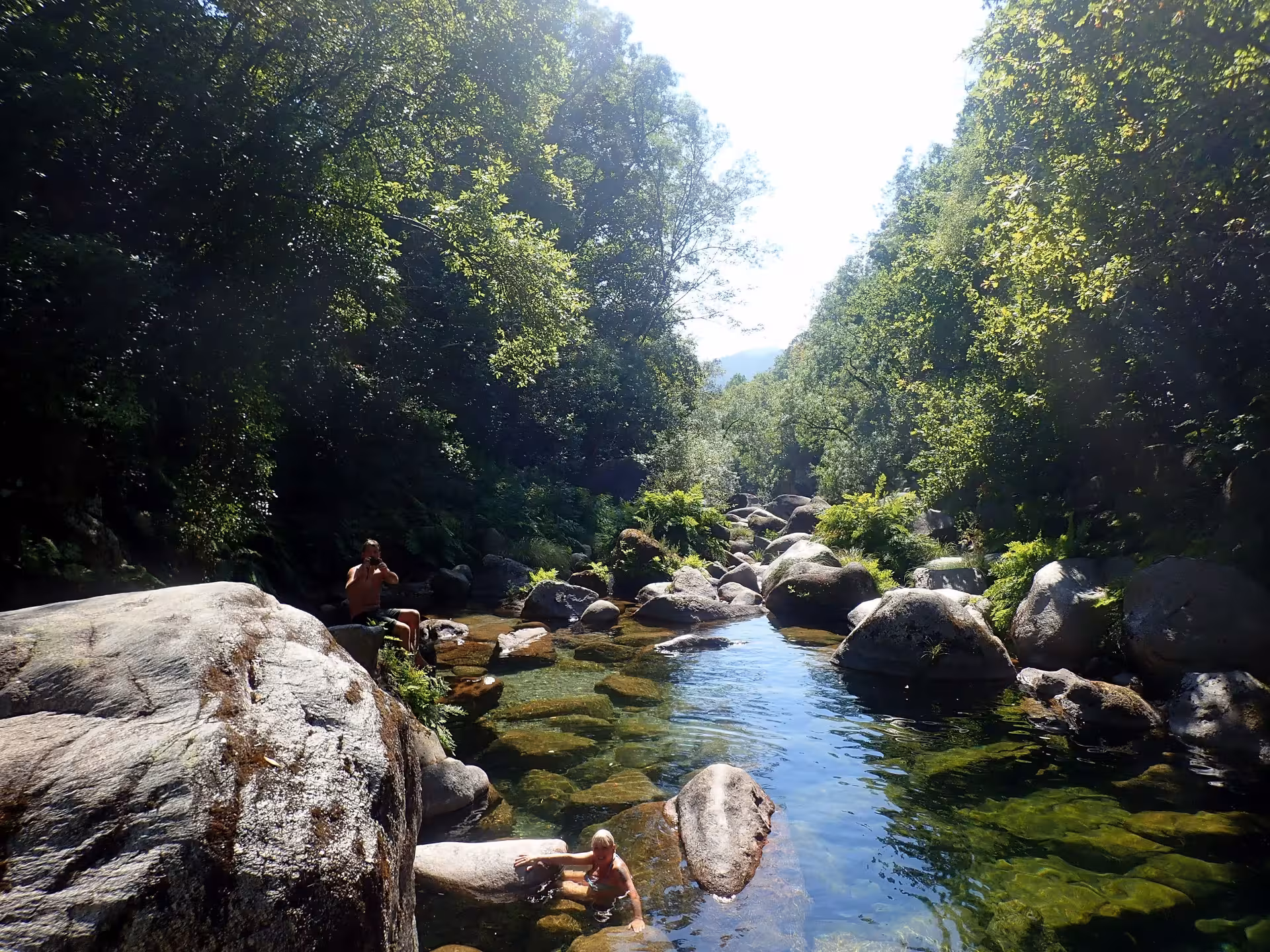 Serene forest stream in Peneda-Gerês National Park offers a tranquil escape for nature lovers and explorers.