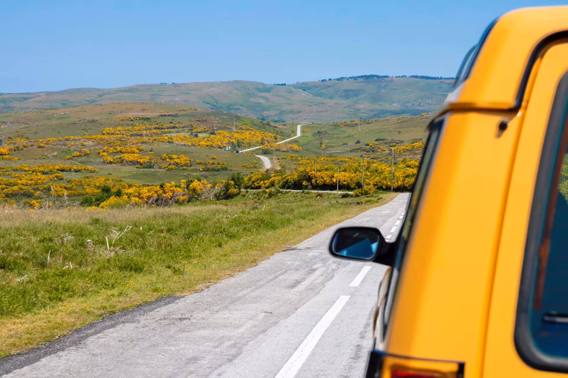 Scenic road through Peneda Geres National Park with vibrant yellow flowers and hills, ideal for a private tour.
