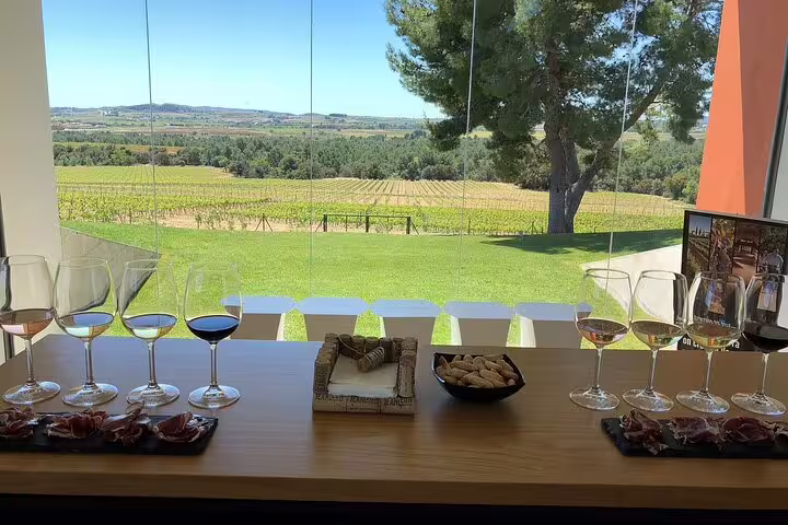 Panoramic view of Penedés vineyard with wine glasses and snacks, offering a serene wine tasting experience.