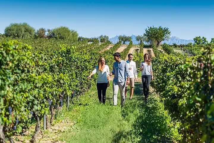 Group enjoying a guided tour through lush vineyards in Penedés, perfect for wine lovers and nature enthusiasts.
