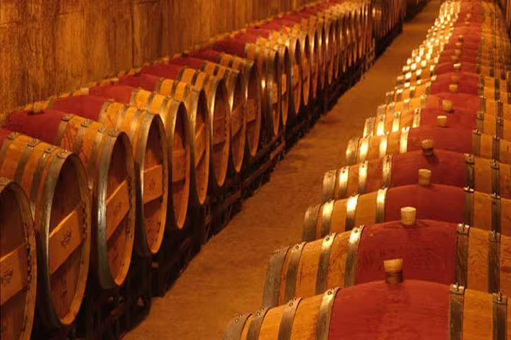 Immerse in the Penedés wine cellar ambiance with lined-up oak barrels, perfect for wine enthusiasts.