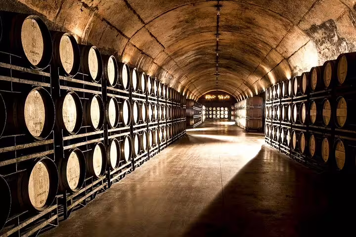 Explore the historic Penedés wine cellar with rows of wooden barrels on the exclusive wine tour.