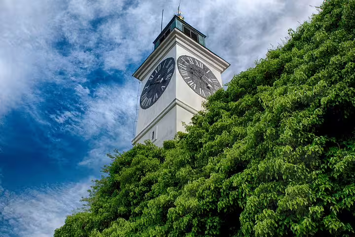 Petrovaradin Fortress clock tower above green treetops, key sight on a private half-day Novi Sad tour