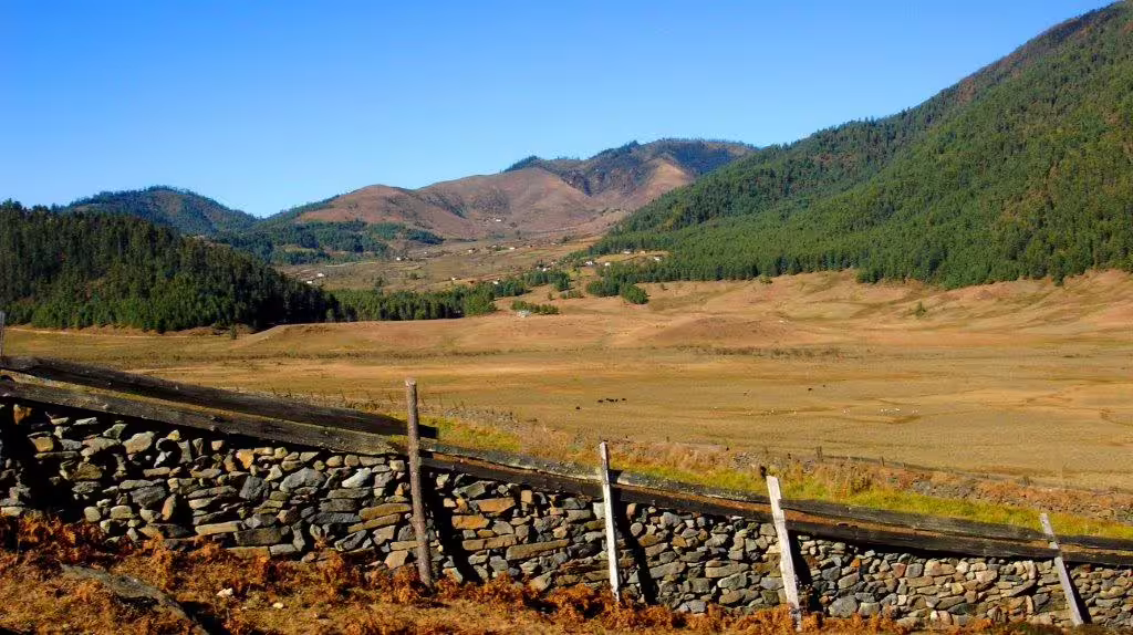 Scenic view of Phobjikha Valley in Bhutan featuring rolling hills and traditional stone walls, perfect for nature tours.