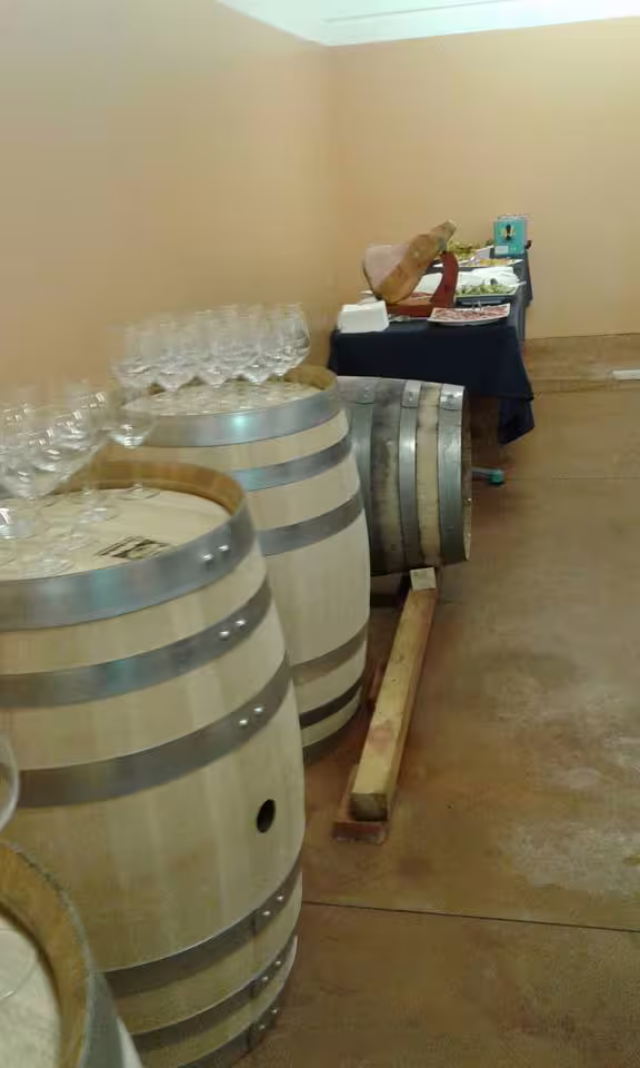 Botti di rovere e calici pronti per degustazione durante la visita alla cantina Pian di Mare