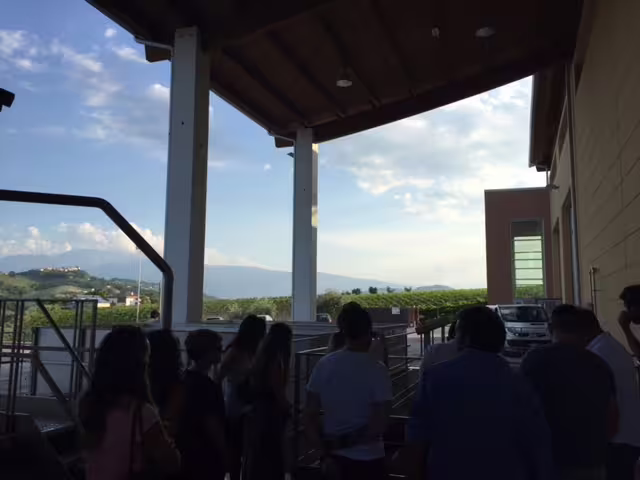 Partecipanti al tour Visita la cantina Pian di Mare sulla terrazza con vista vigneti e colline abruzzesi