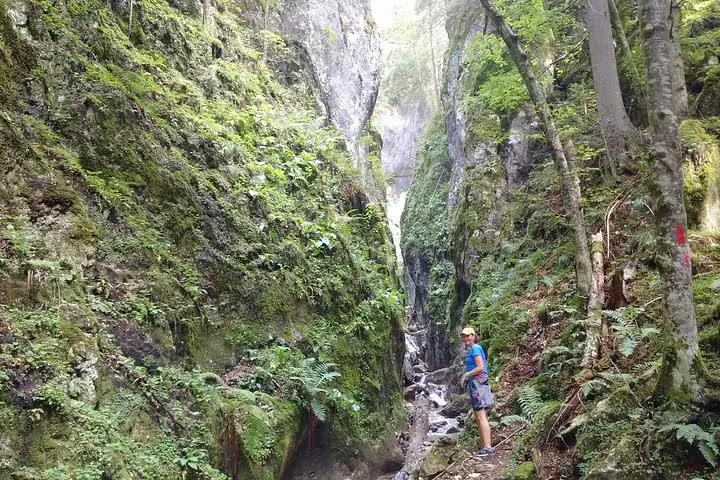 Hiker standing in a narrow mossy gorge with a small stream in Piatra Craiului National Park