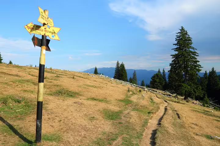 Yellow trail signpost on grassy mountain ridge in Piatra Craiului National Park with pine trees and mountains