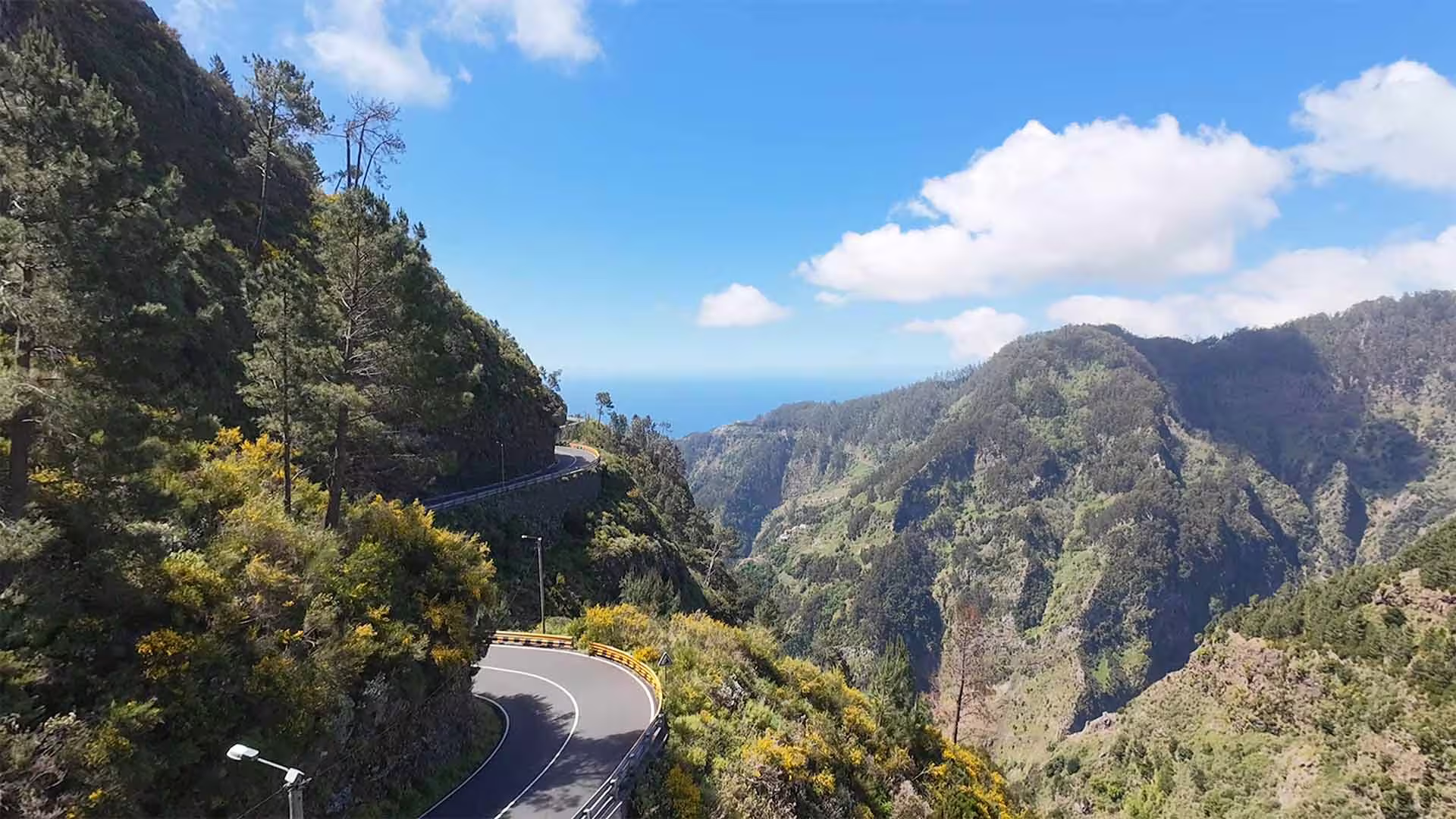 Scenic view of winding mountain road through lush greenery on Pico do Arieiro, part of a full-day tour in Madeira.