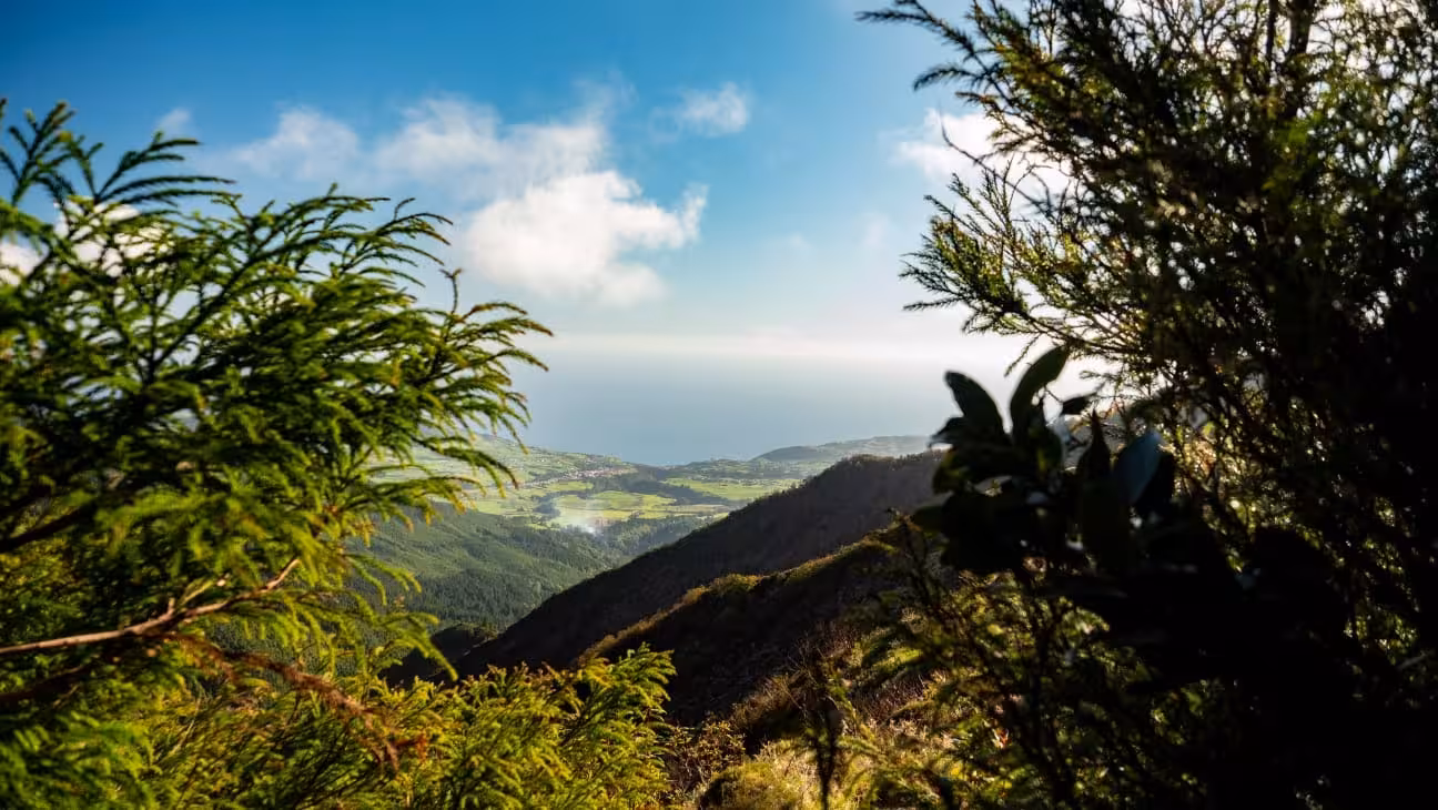Forest viewpoint on Pico da Vara full-day hike, São Miguel Azores, overlooking green valleys and coastline