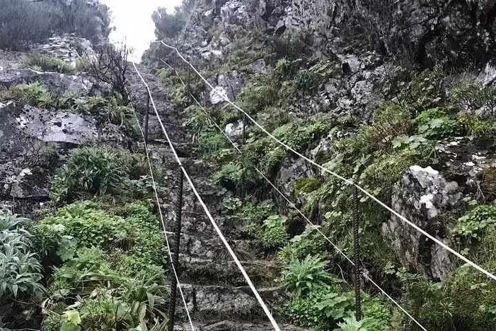 Steep stone steps with rope handrails lead through lush vegetation on the Pico do Arieiro hiking trail.