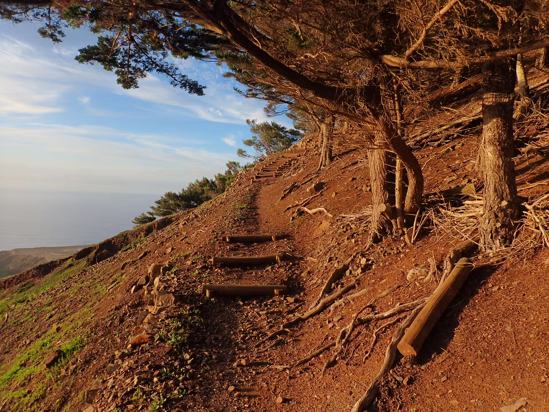 Rustic trail on Pico do Facho offers stunning coastal views, surrounded by lush trees and vibrant landscape, perfect for hiking.
