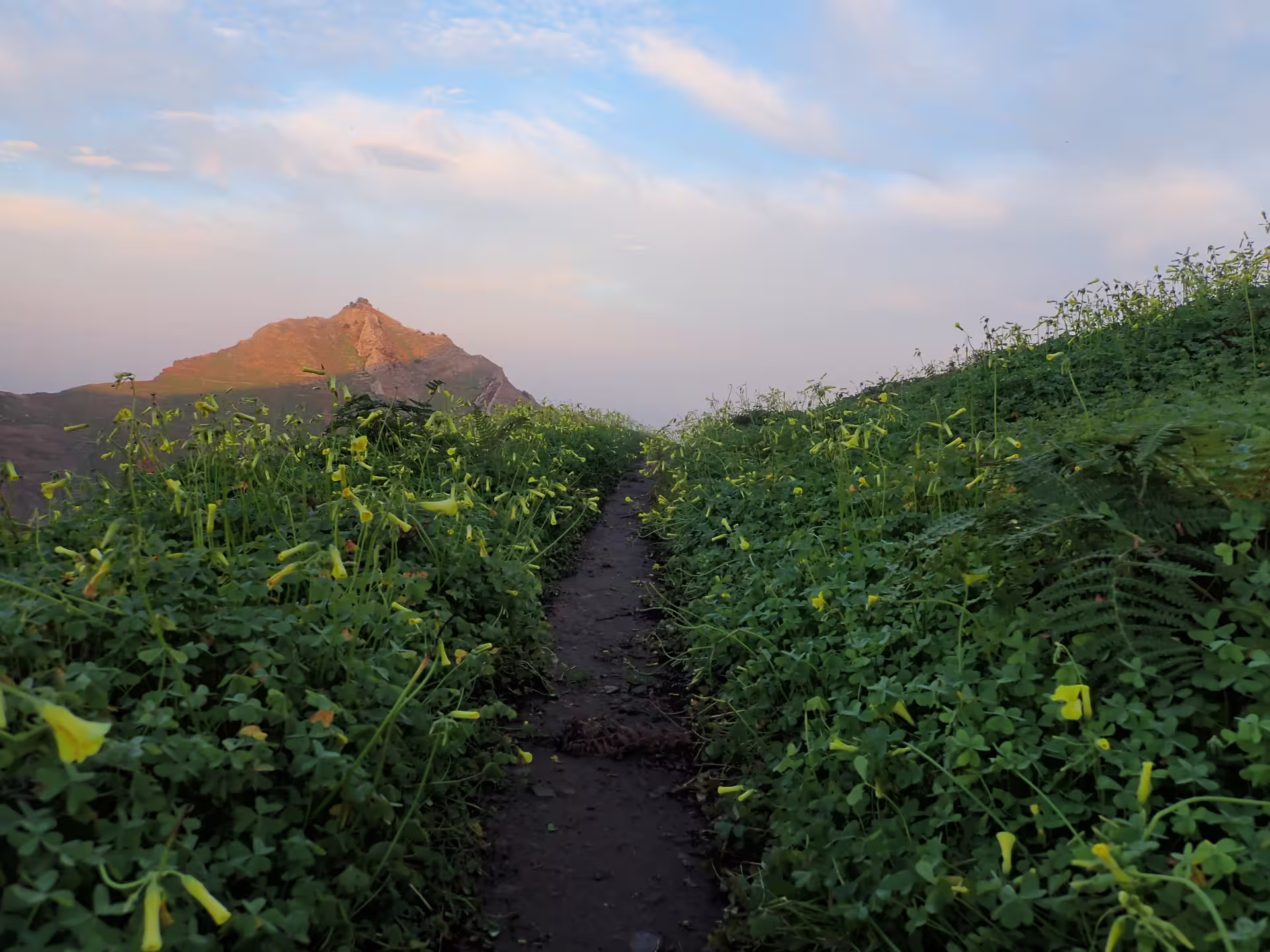 Scenic view of Pico do Facho Panoramic Trail with rugged terrain and lush trees under clear blue skies, perfect for hiking adventures.