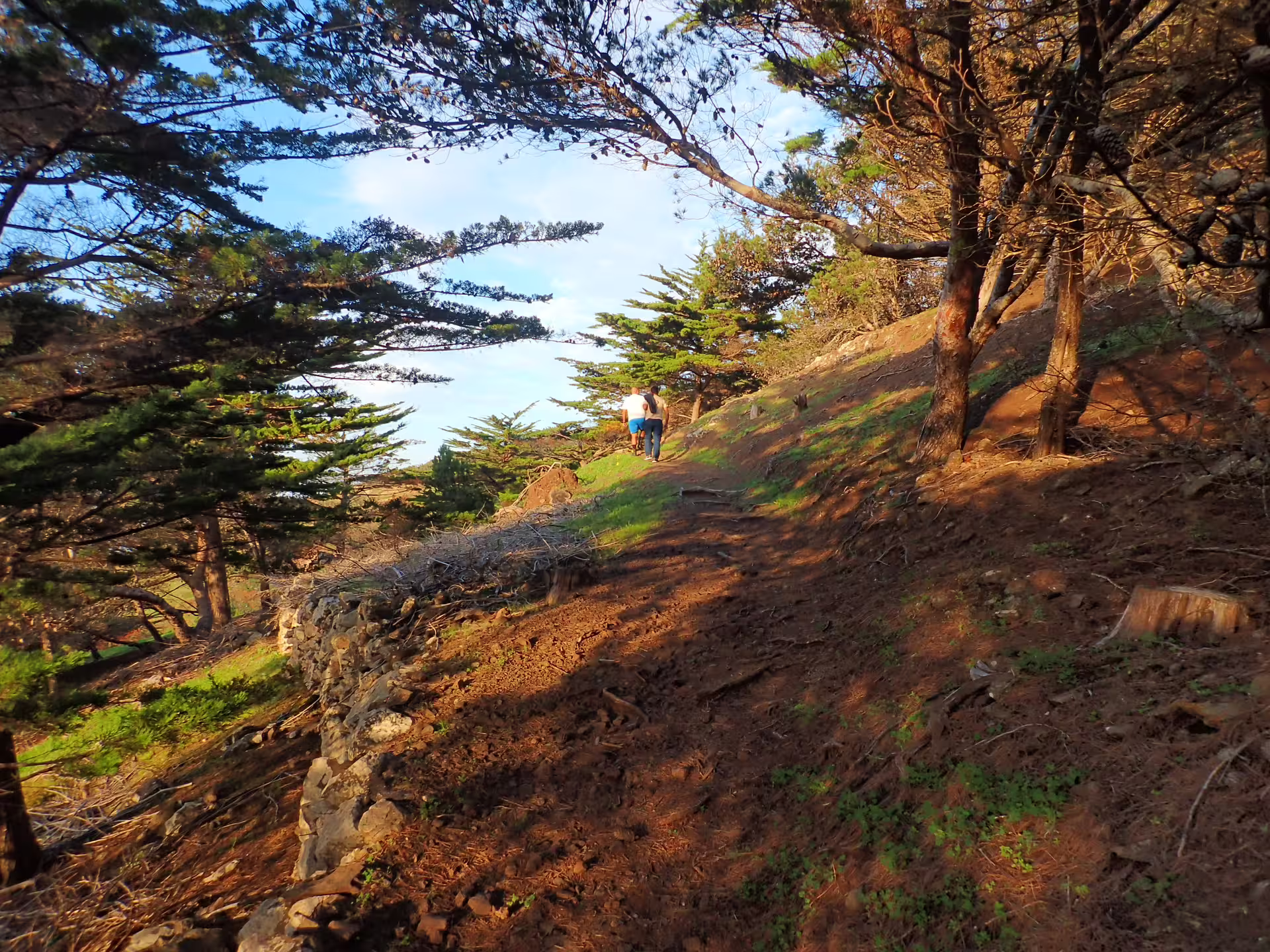 Scenic woodland path on Pico do Facho Panoramic Trail with hikers enjoying nature and vibrant greenery under a clear blue sky.