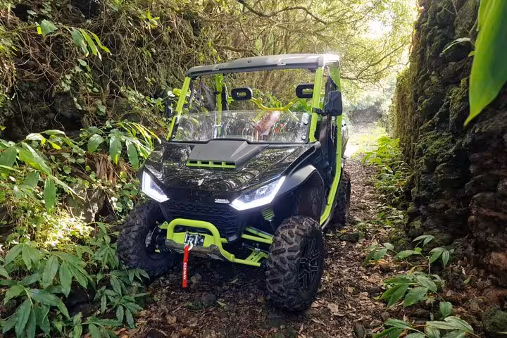 Explore lush Pico Island trails on a thrilling 3H buggy tour through the vineyards, surrounded by vibrant greenery.