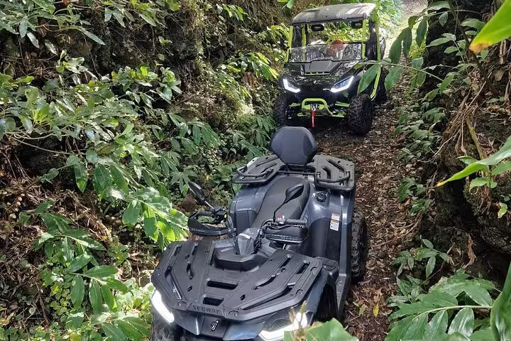 Two buggies navigate a lush, narrow trail on Pico Island, showcasing the adventurous vineyard tour experience.