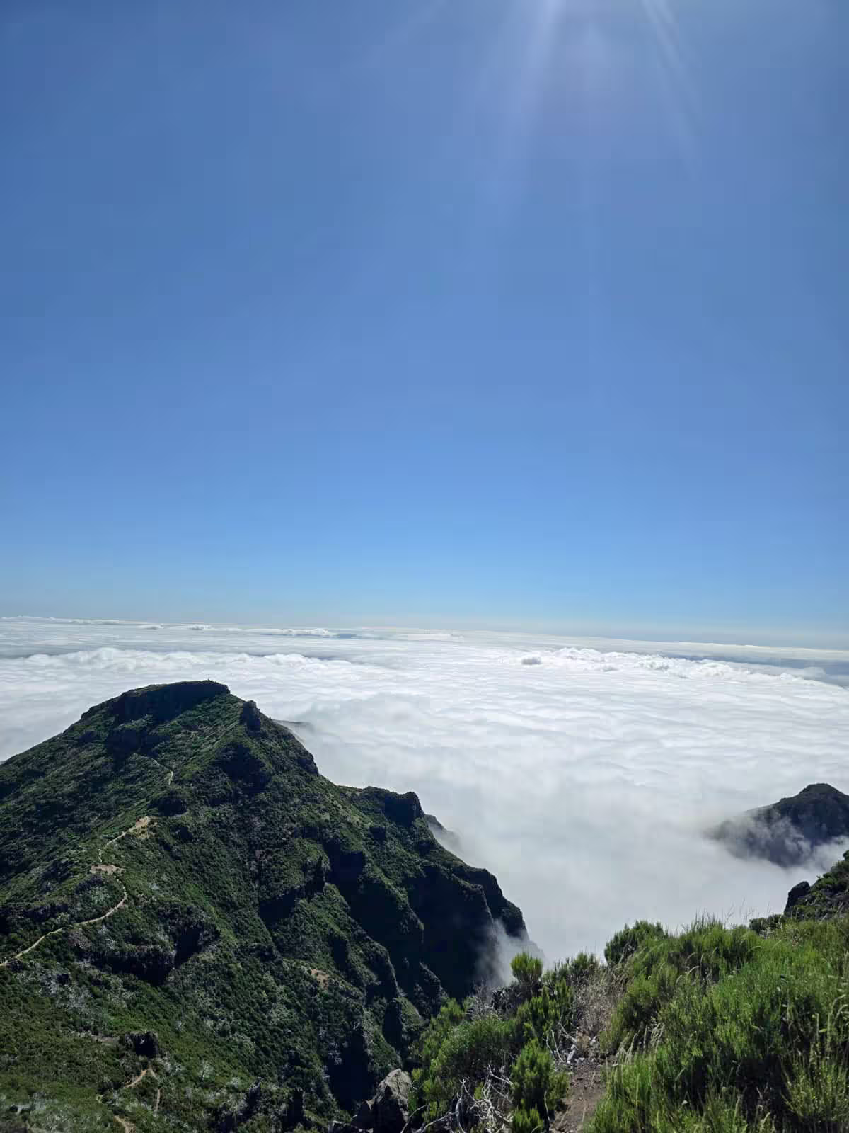 Breathtaking view from Pico Ruivo summit with lush green mountains above a sea of clouds on a sunny day.