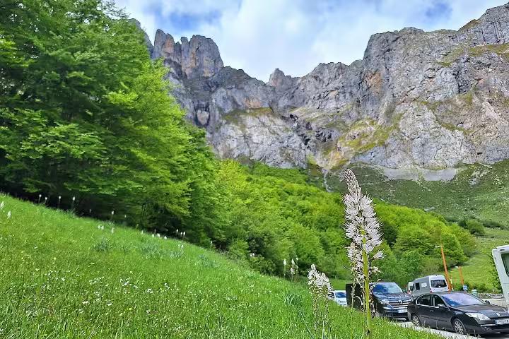 Scenic view of Picos de Europa's towering cliffs and lush greenery with parked cars in the foreground.