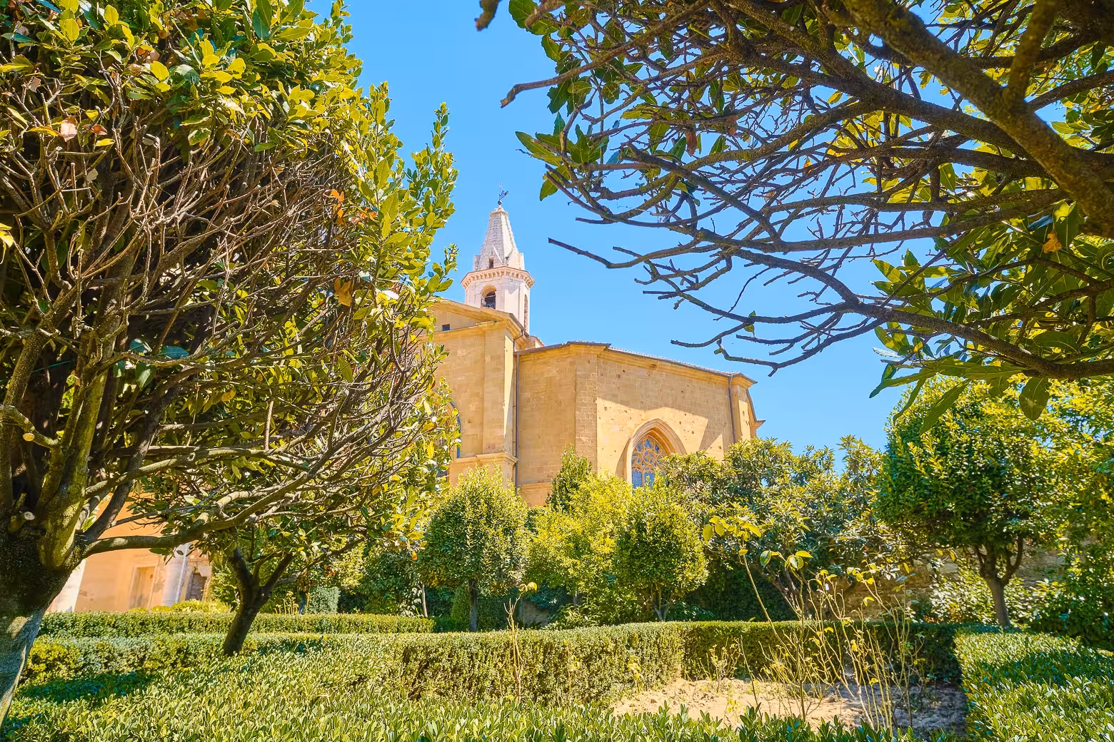 Discover Pienza's historic architecture surrounded by vibrant greenery on the Val d'Orcia private tour from Florence.