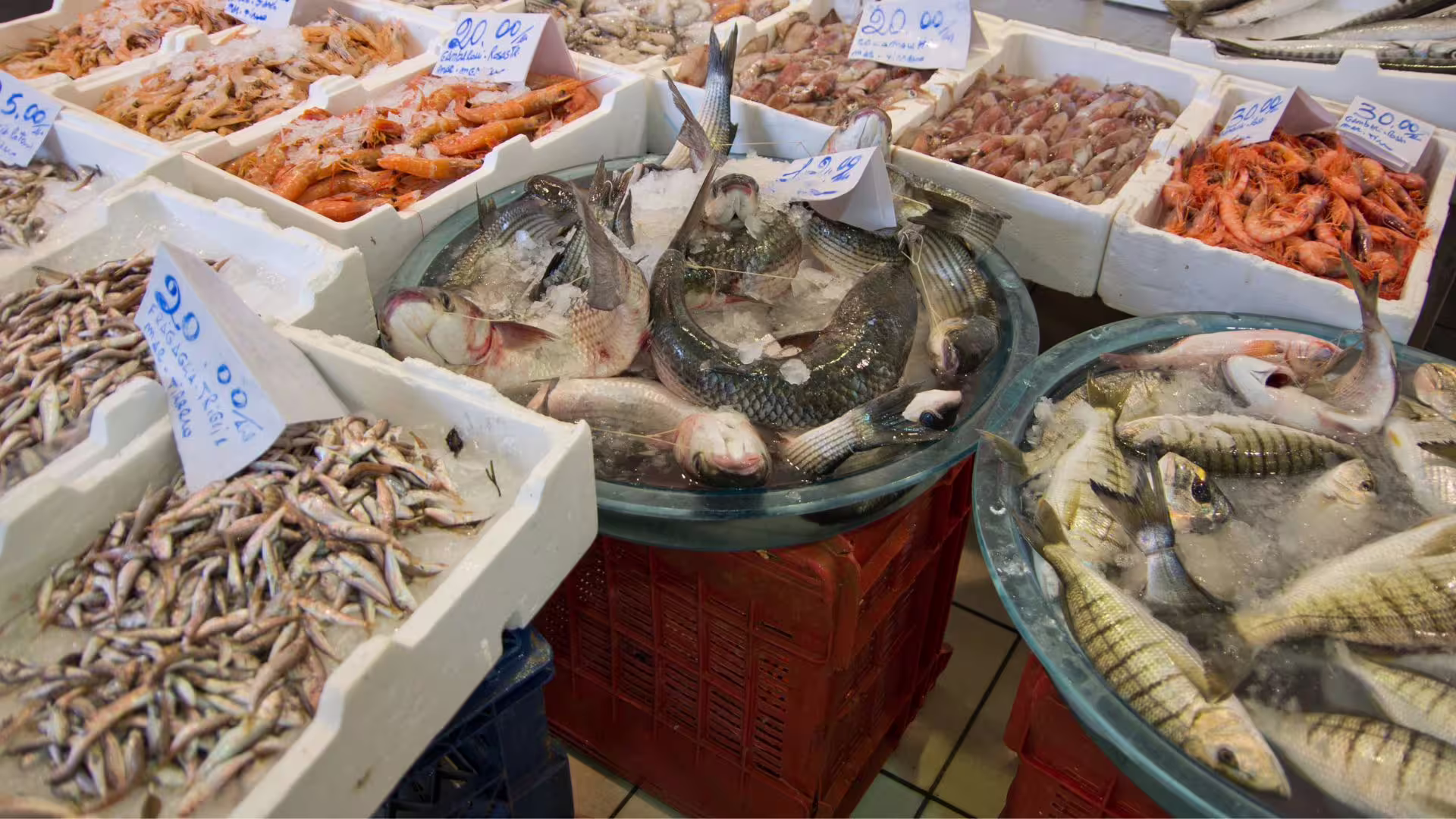 Bancarella di pesce fresco e frutti di mare al mercato della Pignasecca di Napoli durante tour guidato e street food tasting