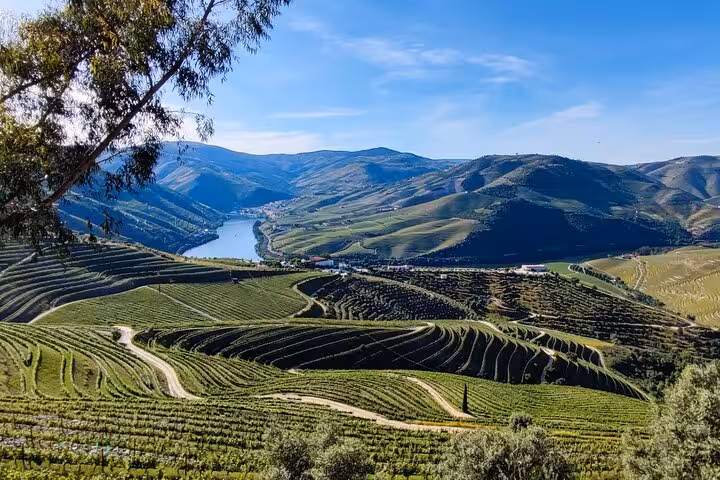 Panoramic view of Pinhão in the Douro Valley with river bend and terraced vineyards, Portugal wine region